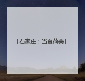石家庄：当夏荷美