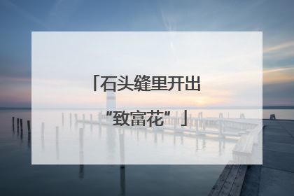 石头缝里开出“致富花”