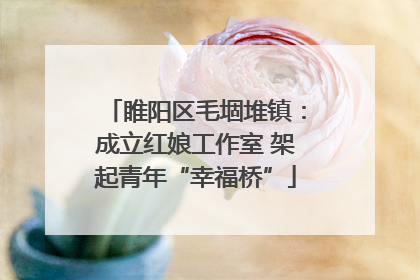 睢阳区毛堌堆镇：成立红娘工作室 架起青年“幸福桥”