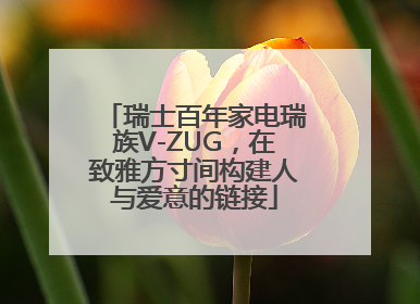 瑞士百年家电瑞族V-ZUG，在致雅方寸间构建人与爱意的链接