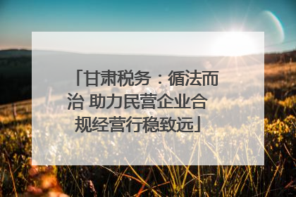 甘肃税务：循法而治 助力民营企业合规经营行稳致远