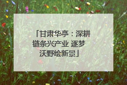甘肃华亭：深耕链条兴产业 逐梦沃野绘新景