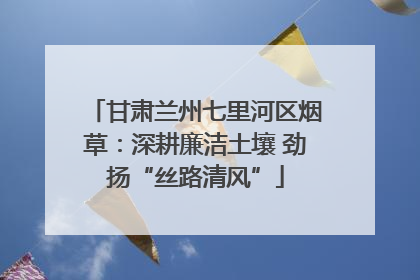 甘肃兰州七里河区烟草：深耕廉洁土壤 劲扬“丝路清风”