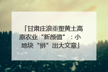 甘肃庄浪重塑黄土高原农业“新颜值”：小地块“拼”出大文章