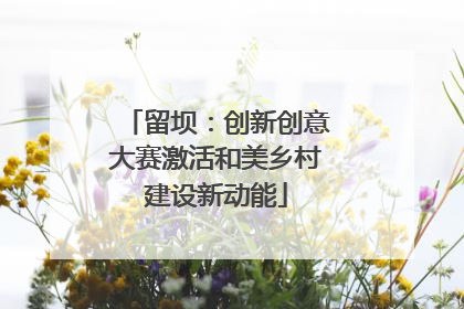 留坝：创新创意大赛激活和美乡村建设新动能