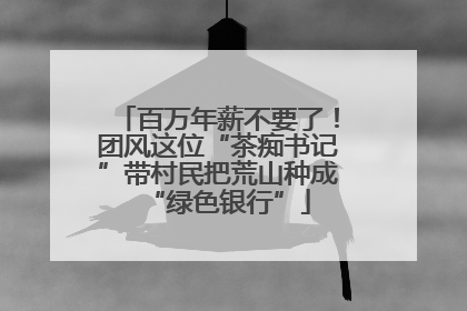 百万年薪不要了！团风这位“茶痴书记”带村民把荒山种成“绿色银行”
