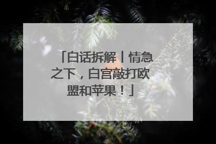 白话拆解丨情急之下，白宫敲打欧盟和苹果！