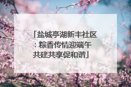 盐城亭湖新丰社区：粽香传情迎端午 共建共享促和谐