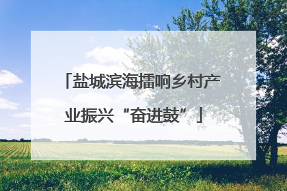 盐城滨海擂响乡村产业振兴“奋进鼓”