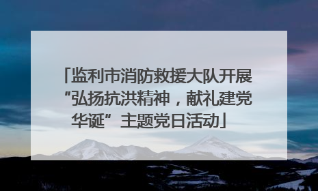 监利市消防救援大队开展“弘扬抗洪精神，献礼建党华诞”主题党日活动