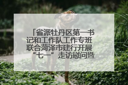 省派牡丹区第一书记和工作队工作专班联合菏泽市建行开展“七一”走访慰问暨红色教育活动