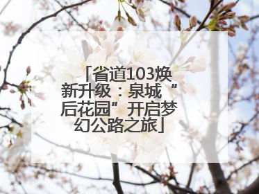 省道103焕新升级：泉城“后花园”开启梦幻公路之旅