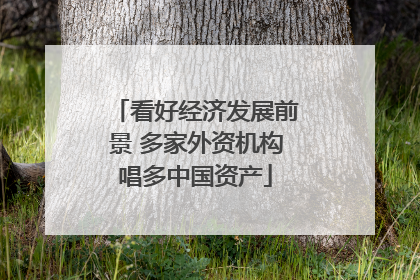 看好经济发展前景 多家外资机构唱多中国资产