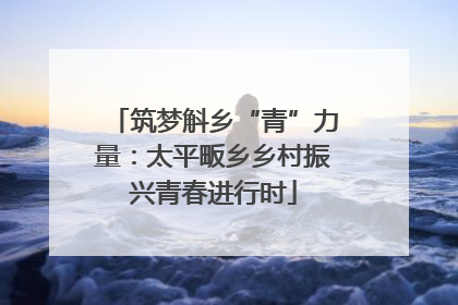 筑梦斛乡“青”力量：太平畈乡乡村振兴青春进行时