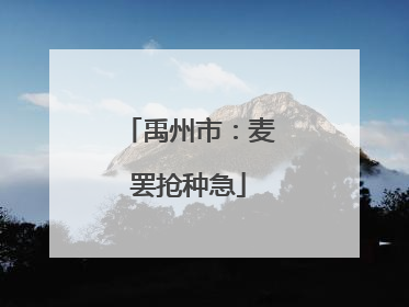 禹州市：麦罢抢种急