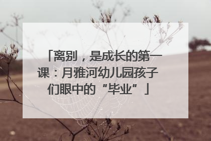 离别，是成长的第一课：月雅河幼儿园孩子们眼中的“毕业”