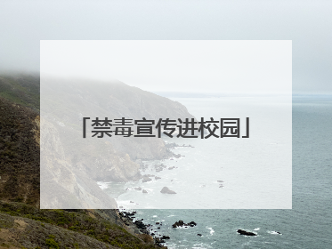 禁毒宣传进校园
