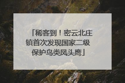 稀客到！密云北庄镇首次发现国家二级保护鸟类凤头鹰