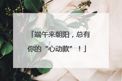 端午来朝阳，总有你的“心动款”！
