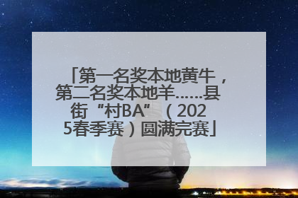 第一名奖本地黄牛，第二名奖本地羊……县街“村BA”（2025春季赛）圆满完赛