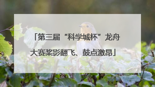 第三届“科学城杯”龙舟大赛桨影翻飞、鼓点激昂