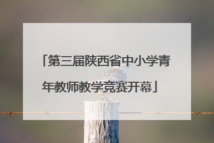 第三届陕西省中小学青年教师教学竞赛开幕
