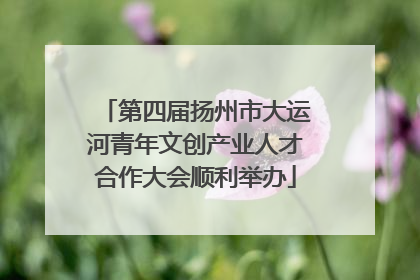 第四届扬州市大运河青年文创产业人才合作大会顺利举办