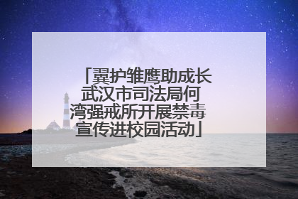 翼护雏鹰助成长 武汉市司法局何湾强戒所开展禁毒宣传进校园活动