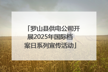 罗山县供电公司开展2025年国际档案日系列宣传活动
