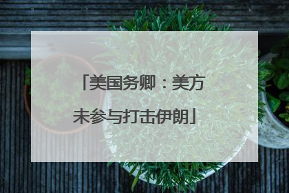 美国务卿：美方未参与打击伊朗