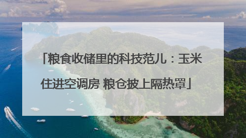 粮食收储里的科技范儿：玉米住进空调房 粮仓披上隔热罩