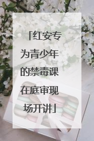 红安专为青少年的禁毒课在庭审现场开讲
