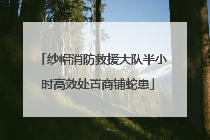 纱帽消防救援大队半小时高效处置商铺蛇患