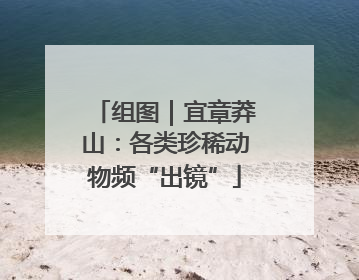 组图｜宜章莽山：各类珍稀动物频“出镜”
