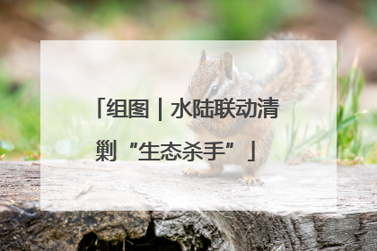 组图｜水陆联动清剿“生态杀手”