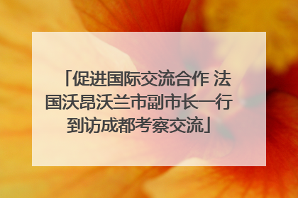 促进国际交流合作 法国沃昂沃兰市副市长一行到访成都考察交流