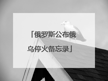 俄罗斯公布俄乌停火备忘录
