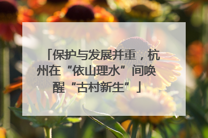 保护与发展并重，杭州在“依山理水”间唤醒“古村新生”