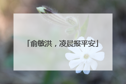 俞敏洪，凌晨报平安