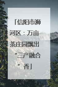 信阳市浉河区：万亩茶庄园飘出“三产融合”香