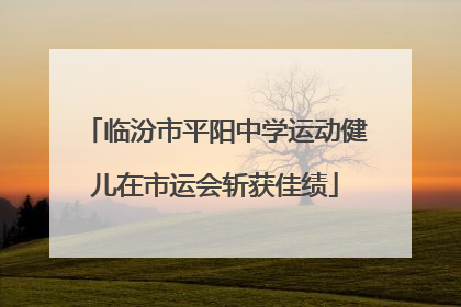 临汾市平阳中学运动健儿在市运会斩获佳绩