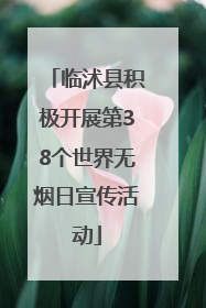 临沭县积极开展第38个世界无烟日宣传活动
