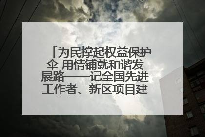 为民撑起权益保护伞 用情铺就和谐发展路——记全国先进工作者、新区项目建设中心干部卢小勇
