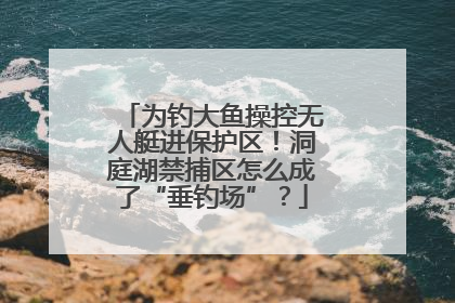 为钓大鱼操控无人艇进保护区！洞庭湖禁捕区怎么成了“垂钓场”？