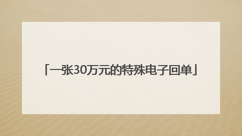 一张30万元的特殊电子回单