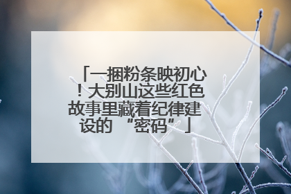 一捆粉条映初心！大别山这些红色故事里藏着纪律建设的 “密码”