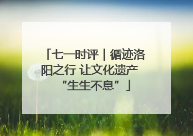 七一时评｜循迹洛阳之行 让文化遗产“生生不息”