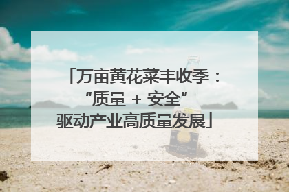 万亩黄花菜丰收季：“质量 + 安全” 驱动产业高质量发展