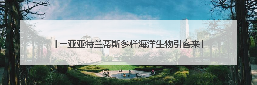 三亚亚特兰蒂斯多样海洋生物引客来