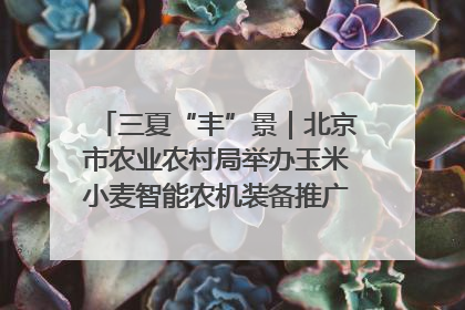三夏“丰”景｜北京市农业农村局举办玉米小麦智能农机装备推广“田间日”活动